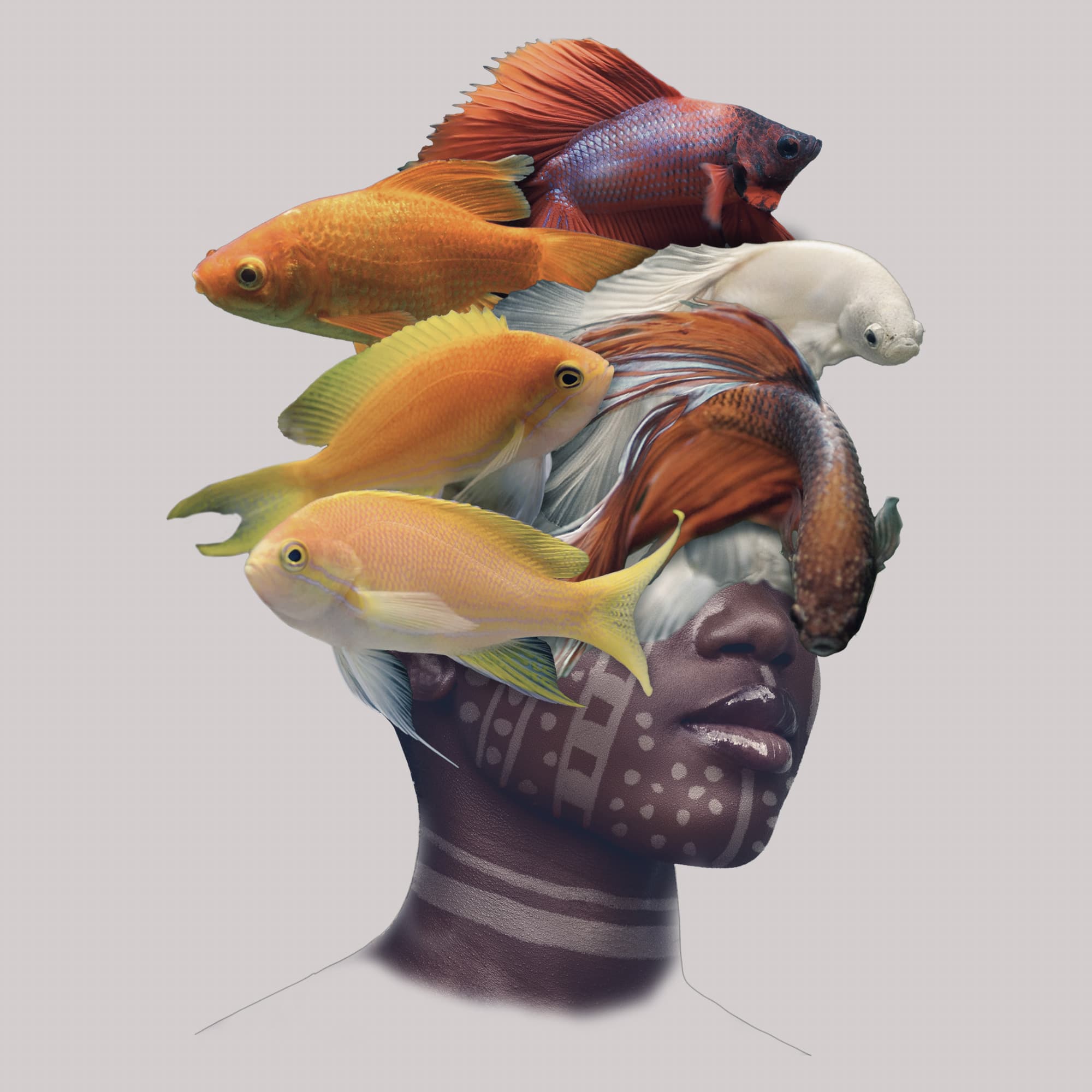A fishy situation