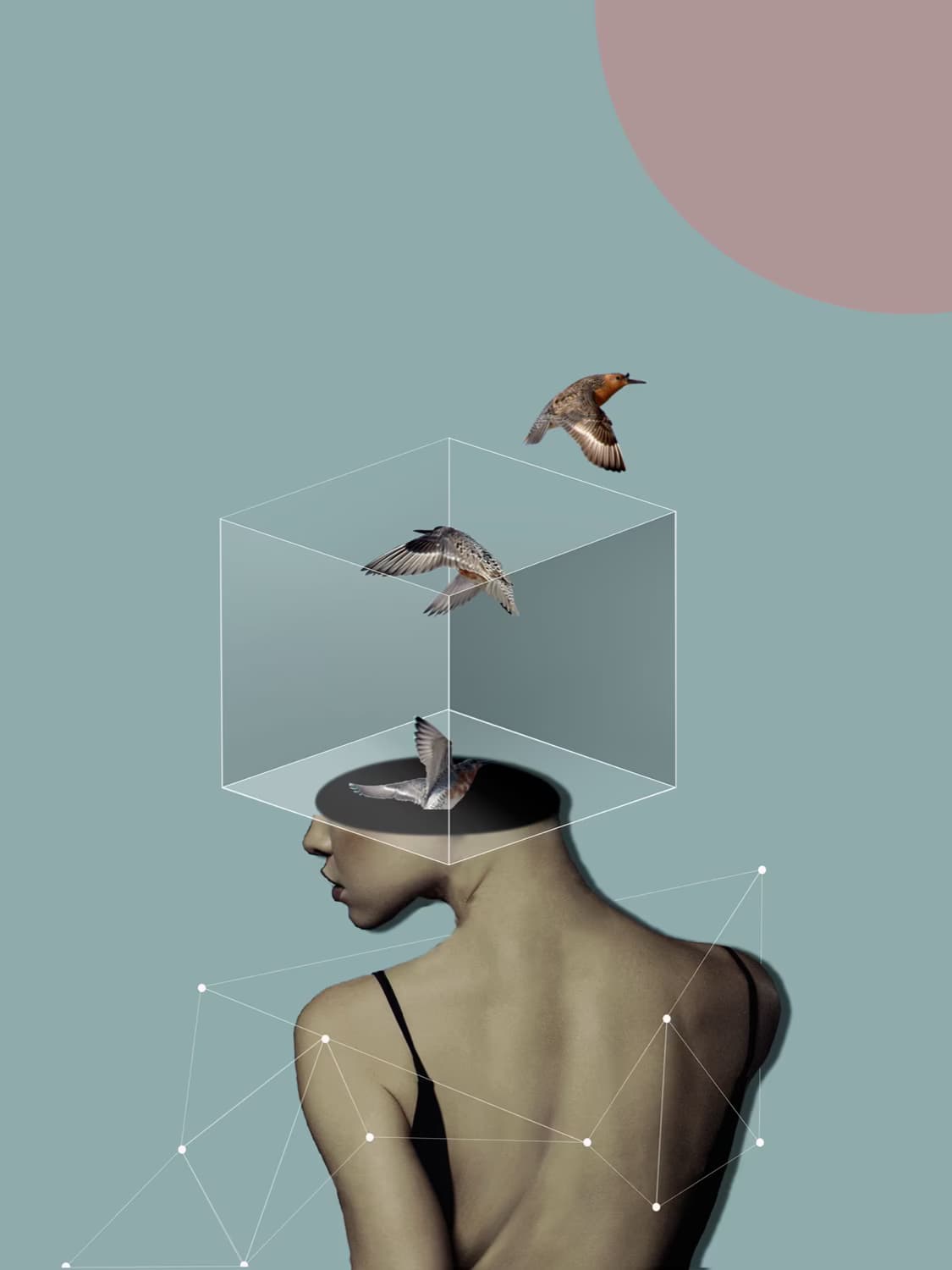 Surreal photoartwork of woman with cube on her head with birds flying out