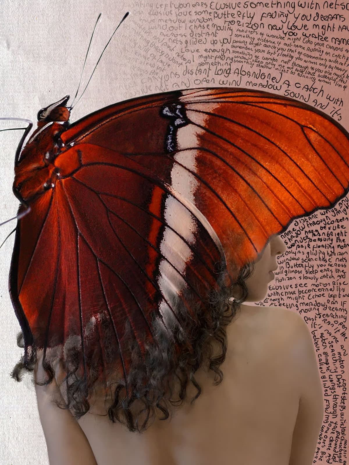abstract portrait of woman with butterfly and text